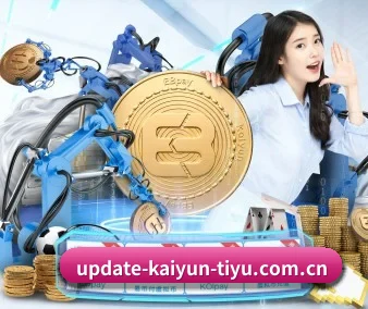 开云入口 APP